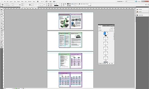 indesign_brochure indesign_brochure